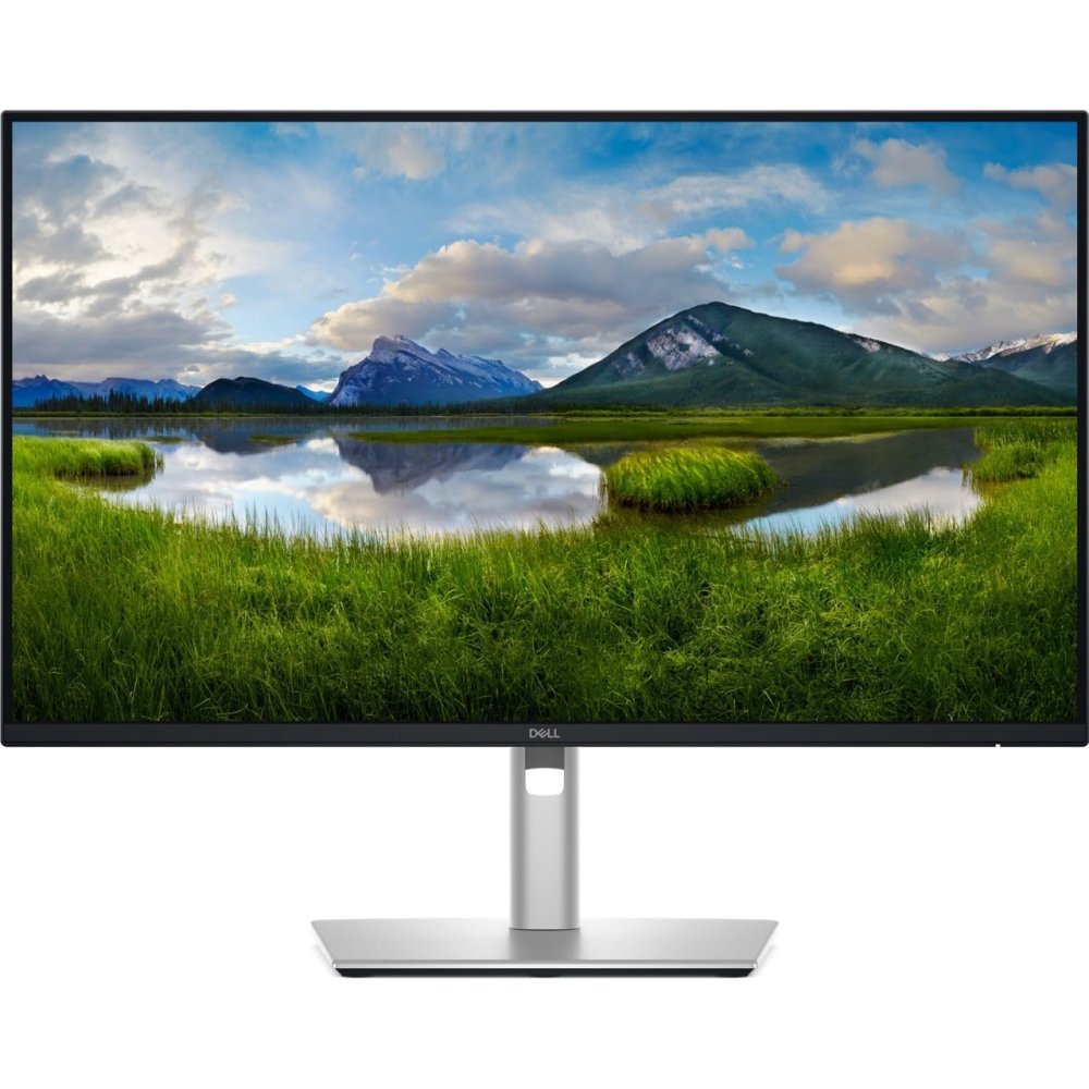 Dell Pro P2425D 24 Inch IPS Monitör