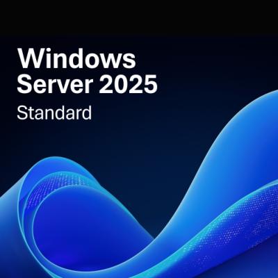 Microsoft Windows Server 2025 Standart Dell Server Yazilimi W2K25Std-Rok